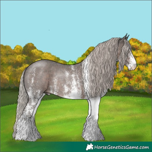 Horse Color:White Spotted Silver Black Rabicano 