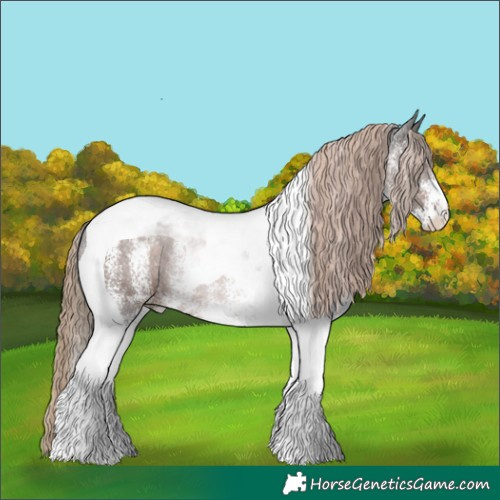 Horse Color:White Spotted Liver Chestnut Tobiano Rabicano 
