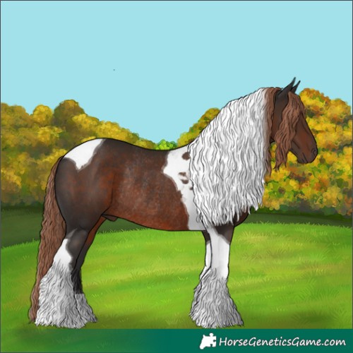 Horse Color:Liver Chestnut Tobiano Rabicano 