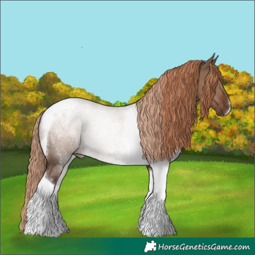 Horse Color:Liver Red Dun Tobiano Rabicano