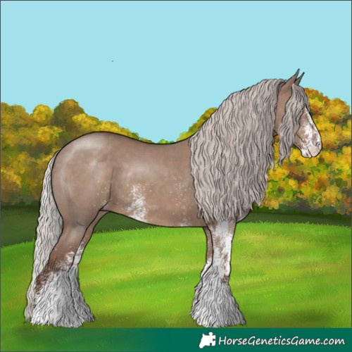 Horse Color:White Spotted Silver Grullo Tobiano Rabicano