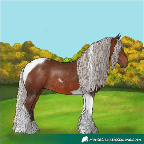 Horse Color:Silver Brown Tobiano Rabicano