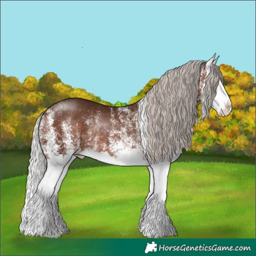 Horse Color:White Spotted Silver Brown Splash Rabicano