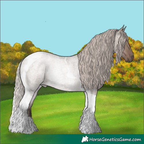 Horse Color:Silver Grullo Roan Tobiano Rabicano 