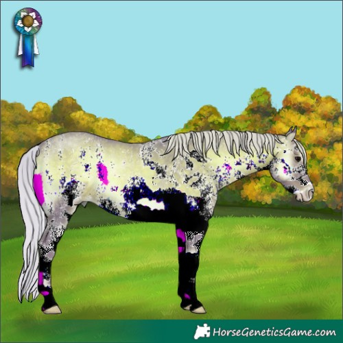 Horse Color:Watercolor White Spotted Silver Blue Onyx Rabicano