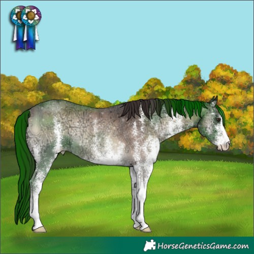 Horse Color:White Spotted Liver Red Onyx Ice Appaloosa Rabicano