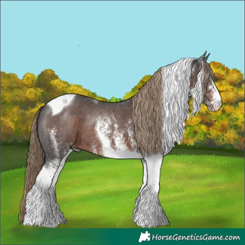 Horse Color:White Spotted Liver Chestnut Tobiano Rabicano 