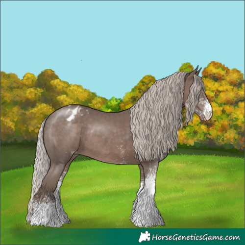 Horse Color:White Spotted Silver Black Blanket Rabicano 