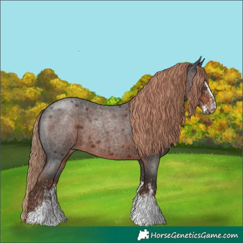 Horse Color:White Spotted Liver Red Roan Rabicano