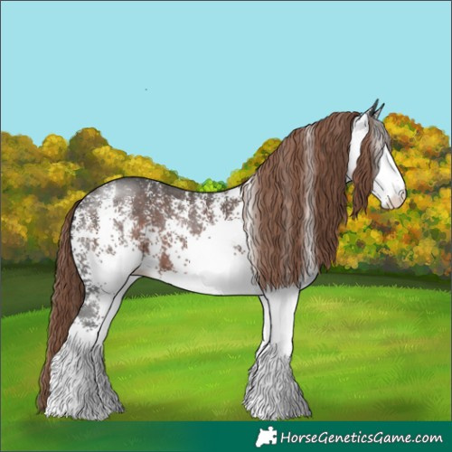 Horse Color:White Spotted Liver Chestnut Rabicano