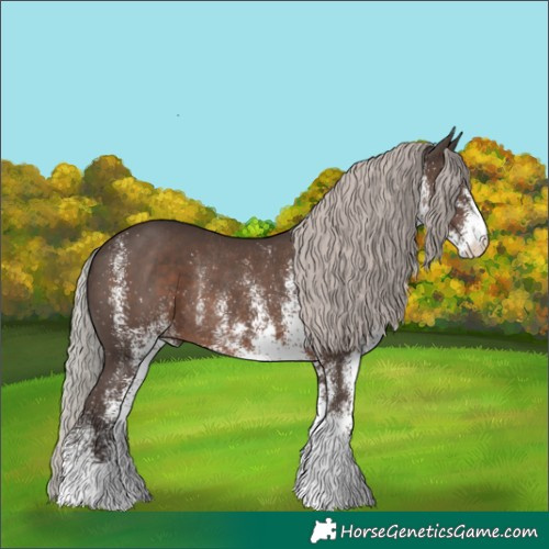 Horse Color:White Spotted Silver Black Rabicano 