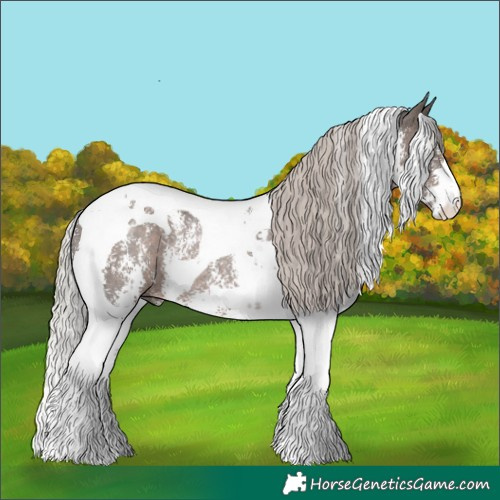 Horse Color:Silver Black Sabino Tobiano Rabicano 