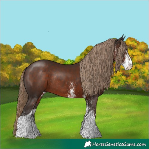 Horse Color:White Spotted Liver Chestnut Tobiano Rabicano