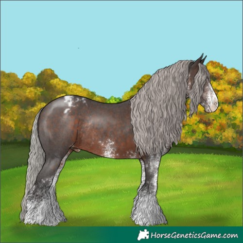 Horse Color:White Spotted Silver Brown Appaloosa Rabicano
