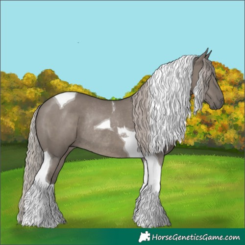 Horse Color:Silver Grullo Tobiano Rabicano 