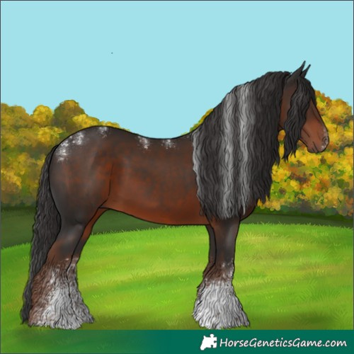 Horse Color:Powder White Liver Chestnut Sabino 