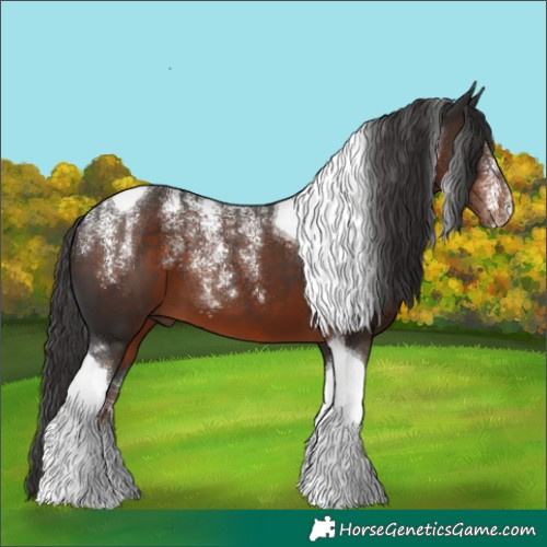 Horse Color:Powder White Liver Chestnut Tobiano