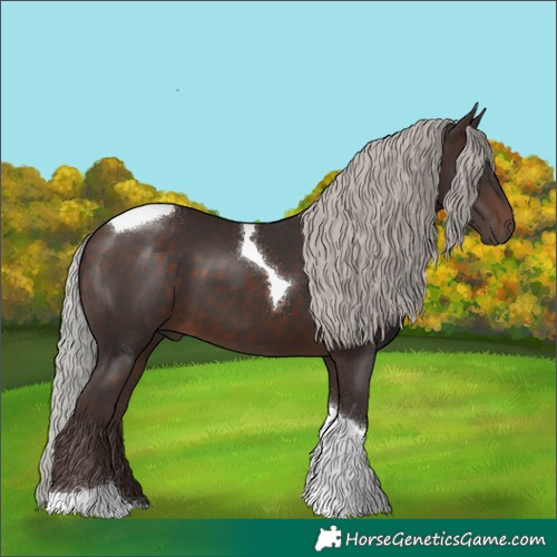 Horse Color:Silver Brown Tobiano