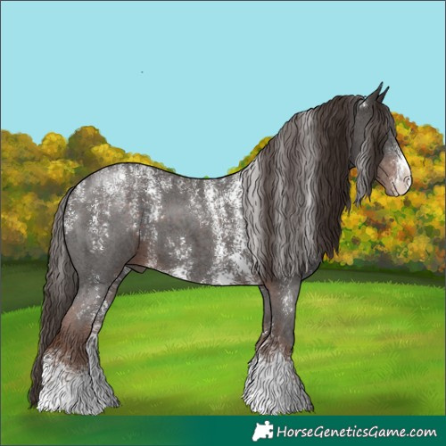 Horse Color:Powder White Liver Chestnut Sabino
