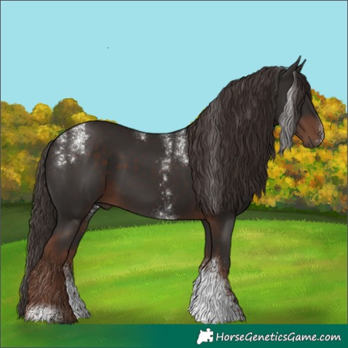 Horse Color:Powder White Liver Chestnut Sabino