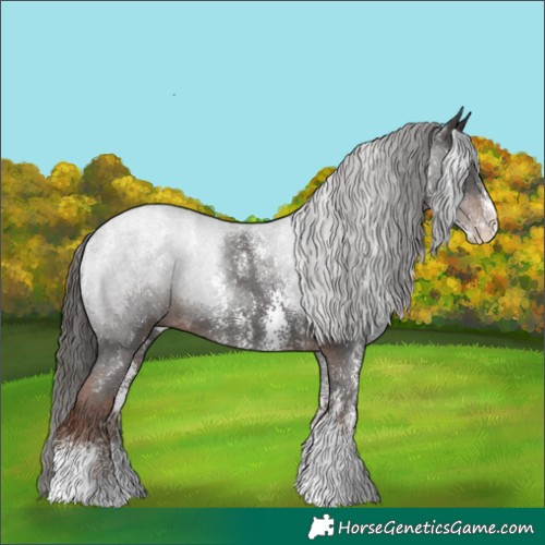 Horse Color:Powder White Liver Chestnut Sabino 
