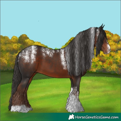 Horse Color:Powder White Liver Chestnut Tobiano