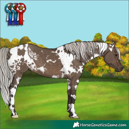 Horse Color:White Spotted Silver Brown Dun 