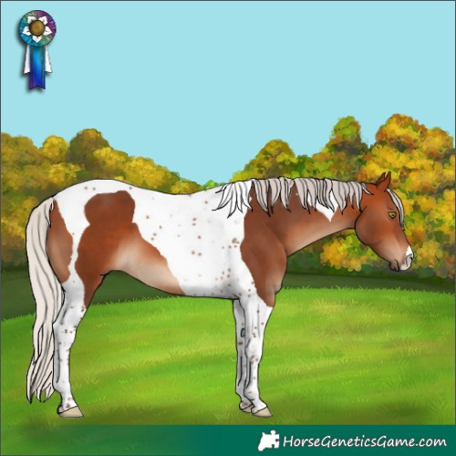Horse Color:Silver Bay Tobiano 