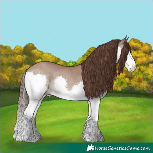 Horse Color:Classic Champagne Splash 