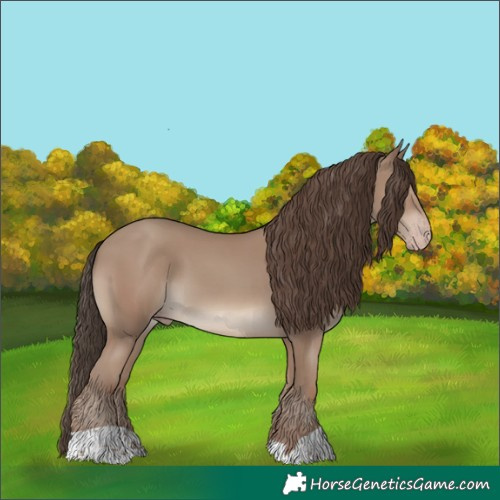 Horse Color:Classic Champagne
