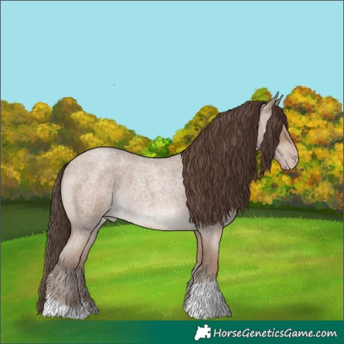 Horse Color:Classic Champagne Roan 