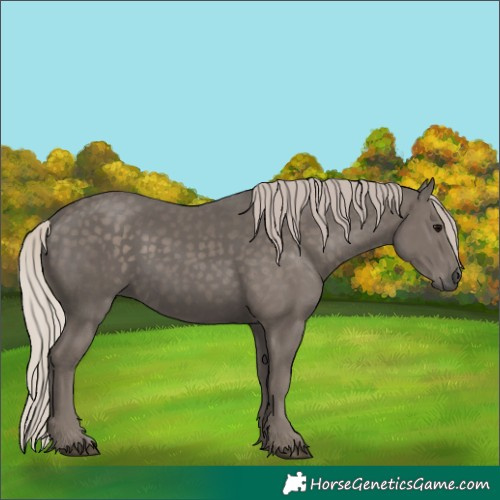 Horse Color:Silver Black 