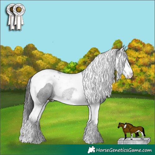 Horse Color:Black Splash Tobiano Rabicano