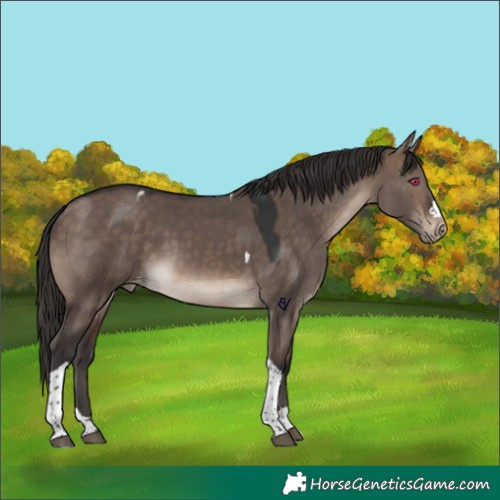 Horse Color:Brown Dun Mushroom Tobiano Varnish 