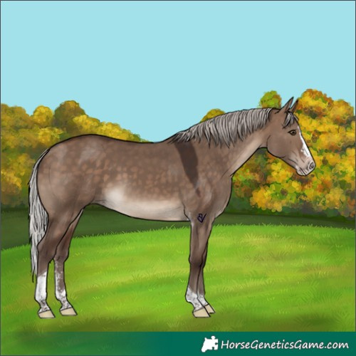 Horse Color:Silver Brown Dun Sabino Splash Tobiano 