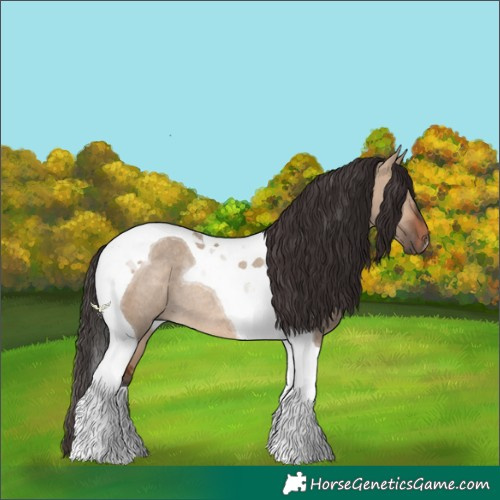 Horse Color:Bay Dun Tobiano Rabicano 