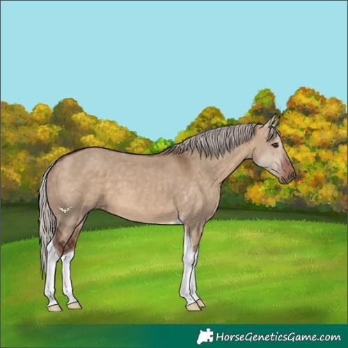Horse Color:Silver Brown Dun Tobiano