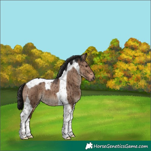 Horse Color:Liver Red Dun Tobiano Brindle