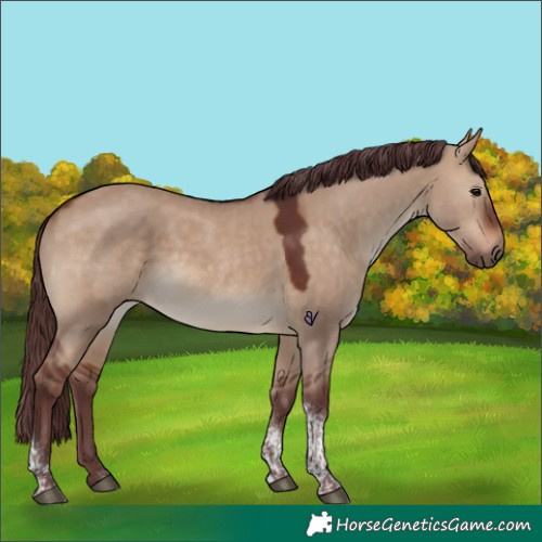 Horse Color:Chocolate Brown Dun Tobiano Rabicano
