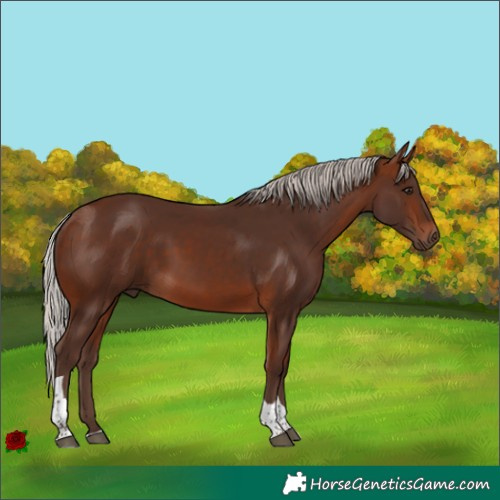 Horse Color:Silver Bay Tobiano 