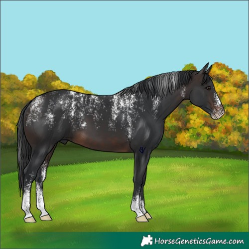 Horse Color:Powder White Brown 