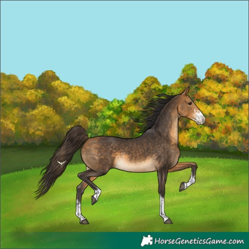 Horse Color:Buckskin Sabino Tobiano