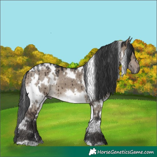 Horse Color:White Spotted Brown Dun Brindle 