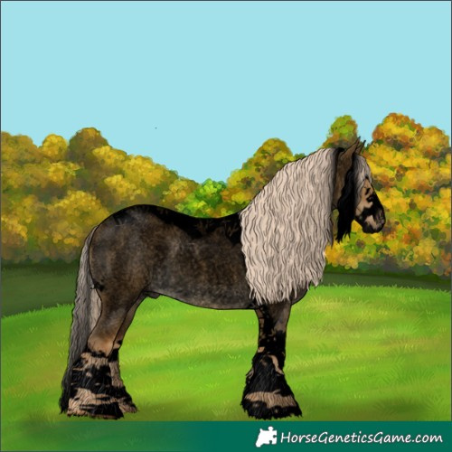 Horse Color:Void Chocolate Palomino Roan Dun Splash Tobiano 