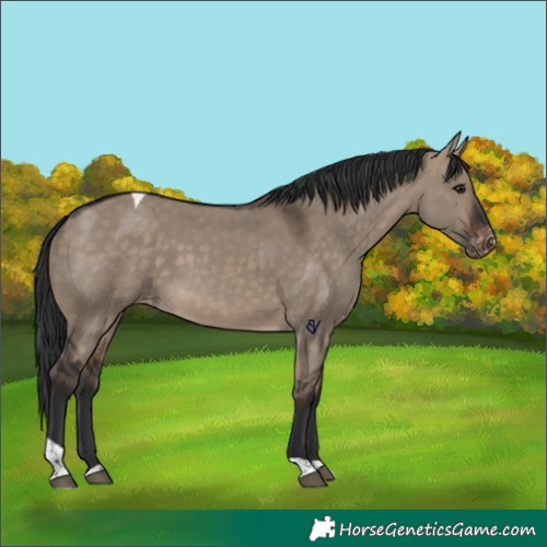 Horse Color:Brown Dun Tobiano Varnish 