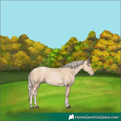 Horse Color:Palomino Pearl 