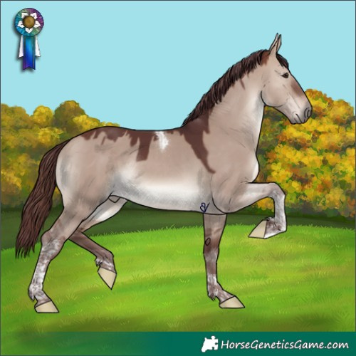 Horse Color:Chocolate Brown Dun Tobiano Rabicano