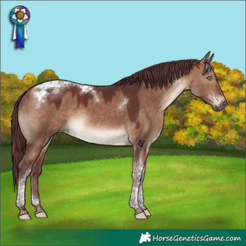 Horse Color:Chocolate Brown Dun Tobiano 