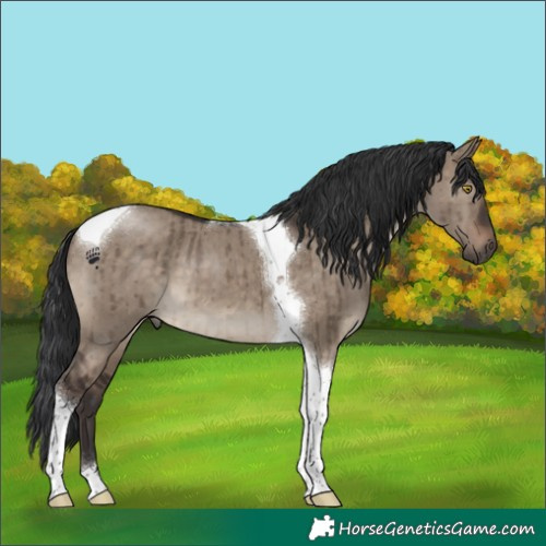 Horse Color:Brown Dun Tobiano Brindle