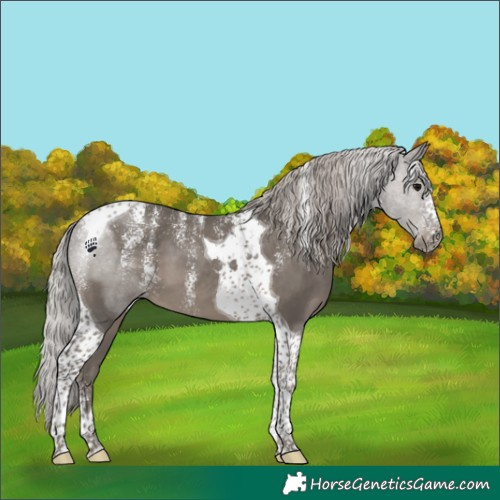 Horse Color:Powder White Silver Black Tobiano
